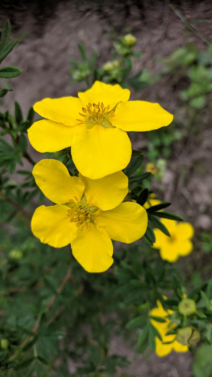 Первый слайд