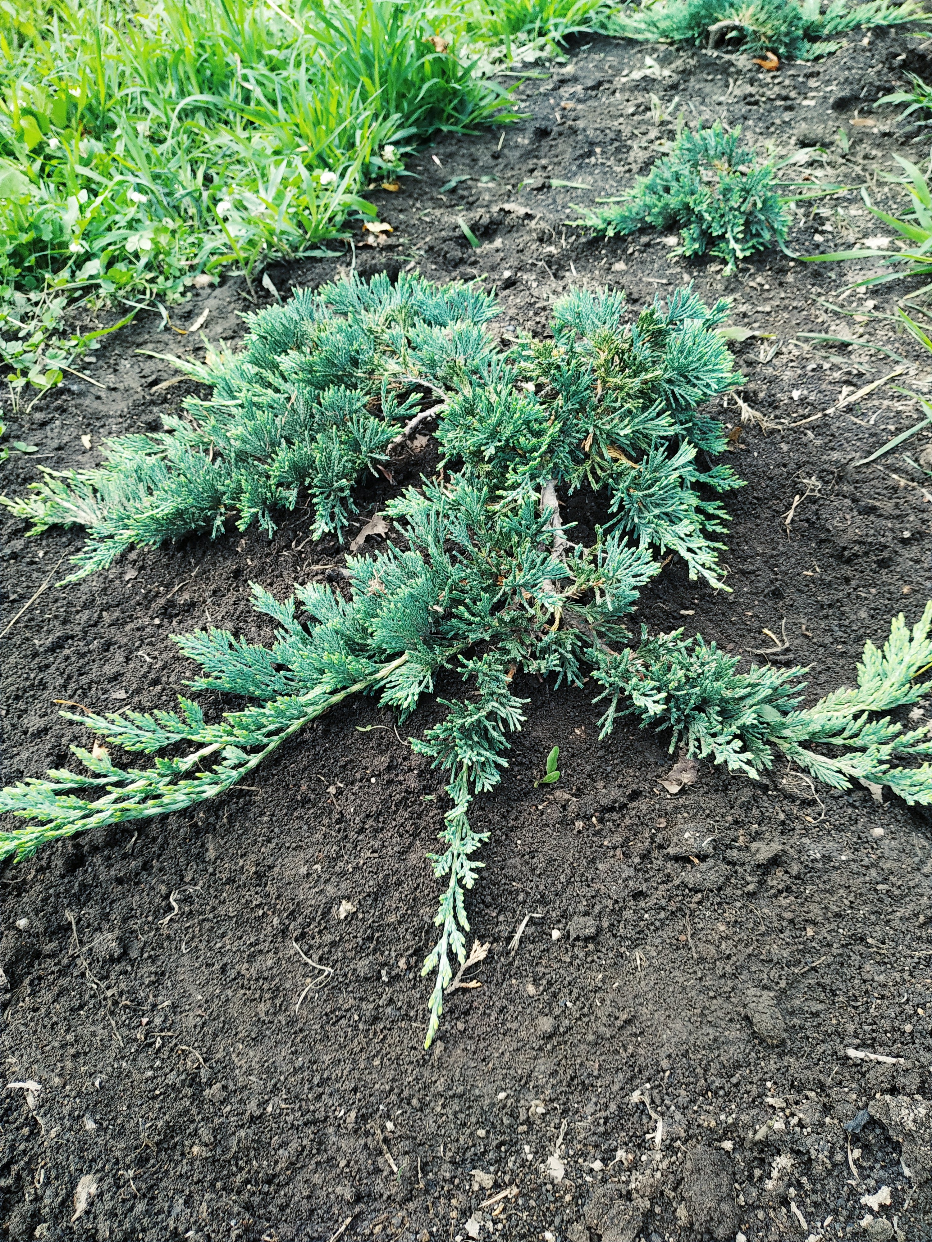 Первый слайд