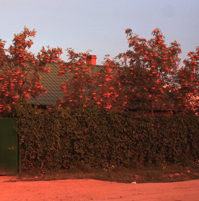 Первый слайд