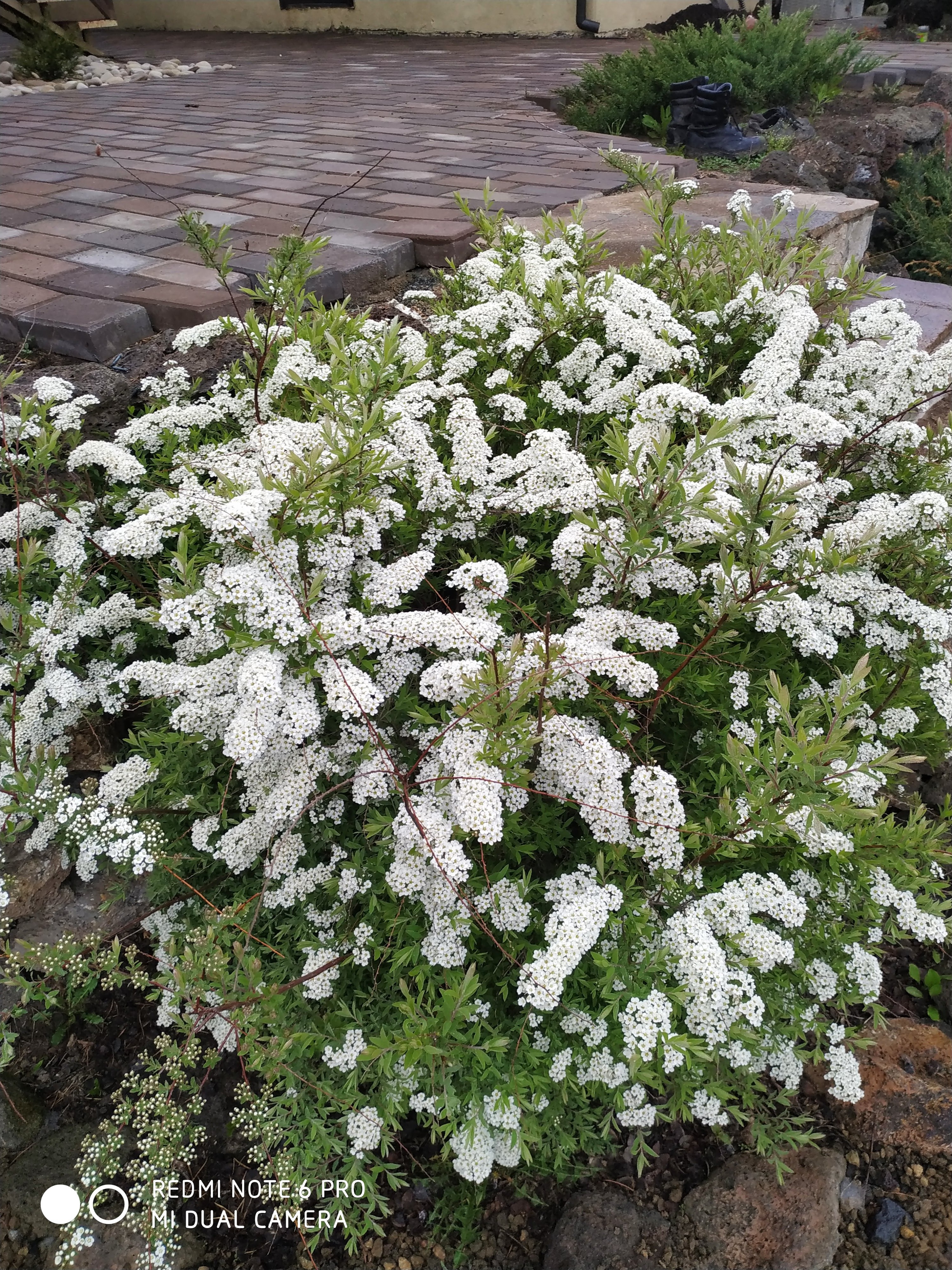 Первый слайд