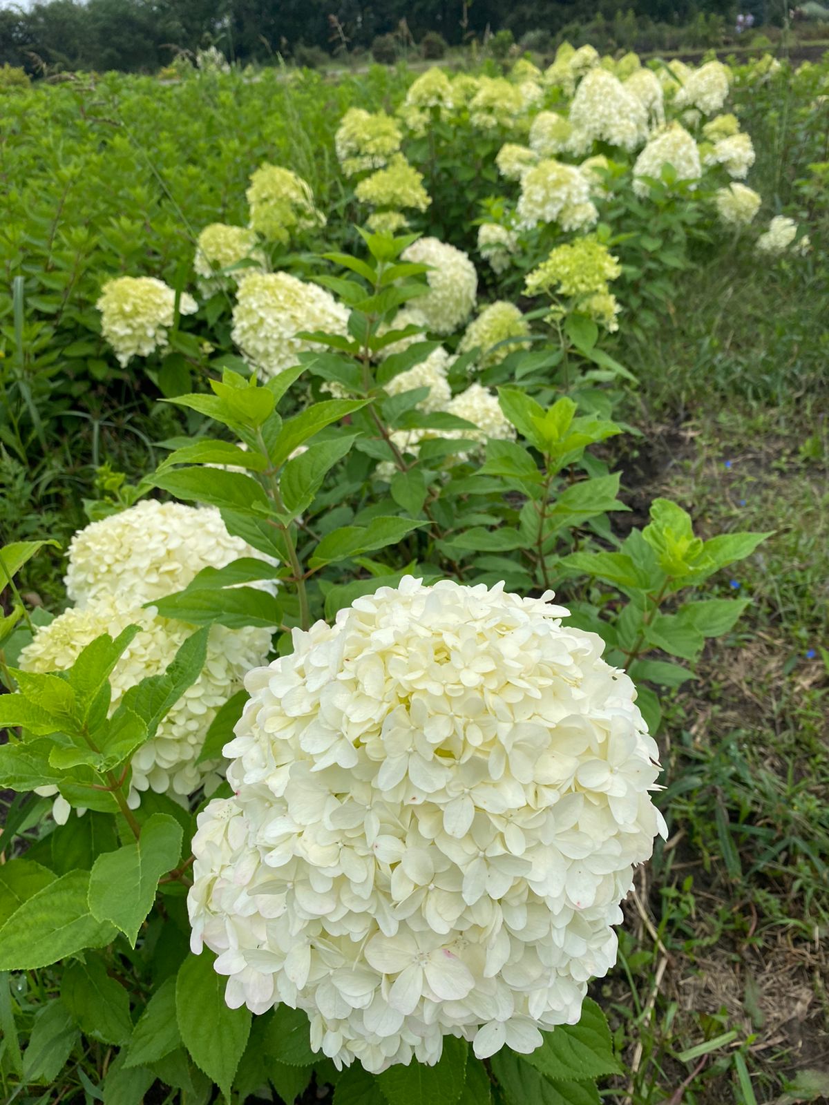 Первый слайд