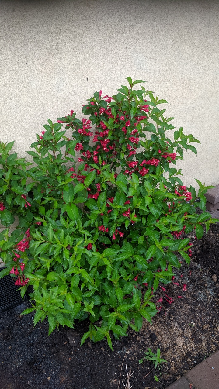 Первый слайд