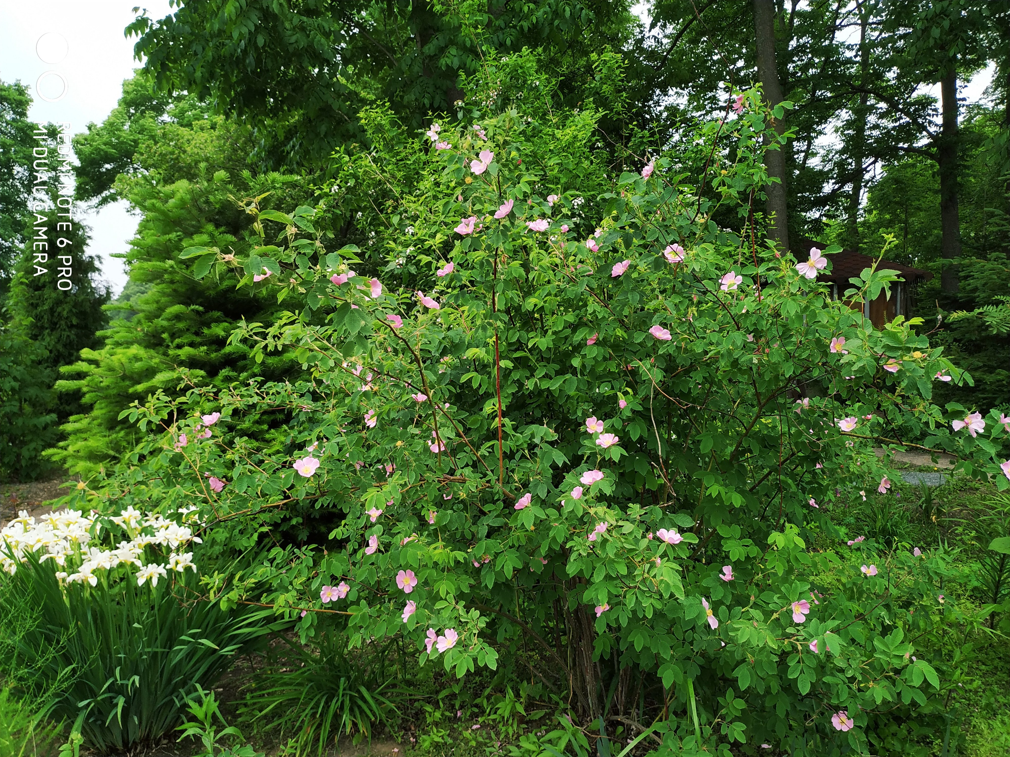 Первый слайд