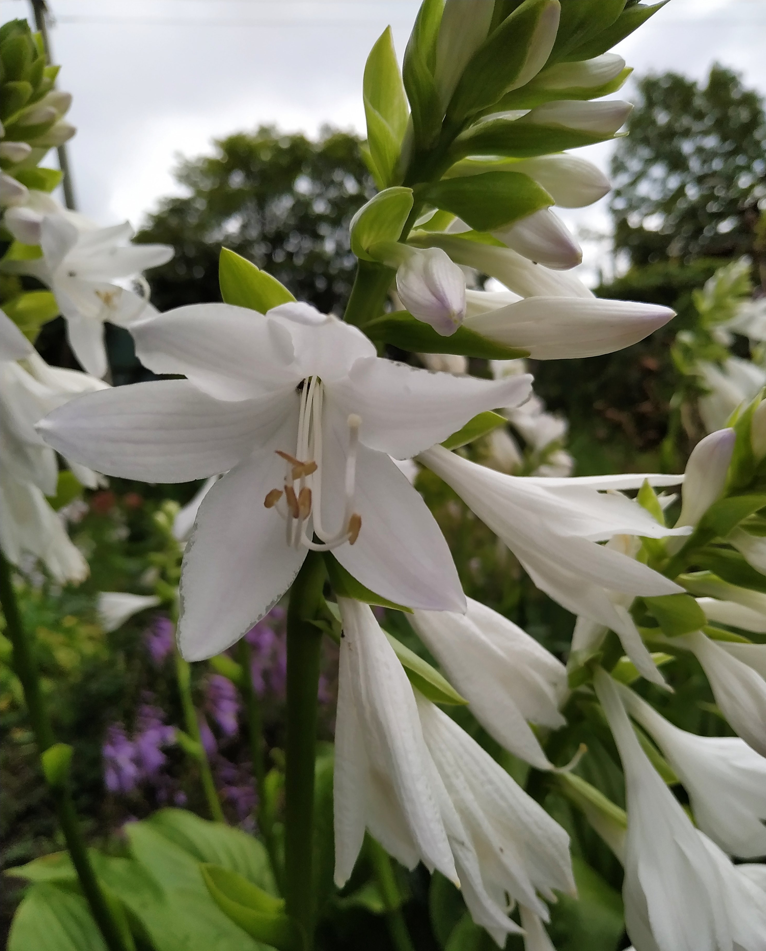 Первый слайд