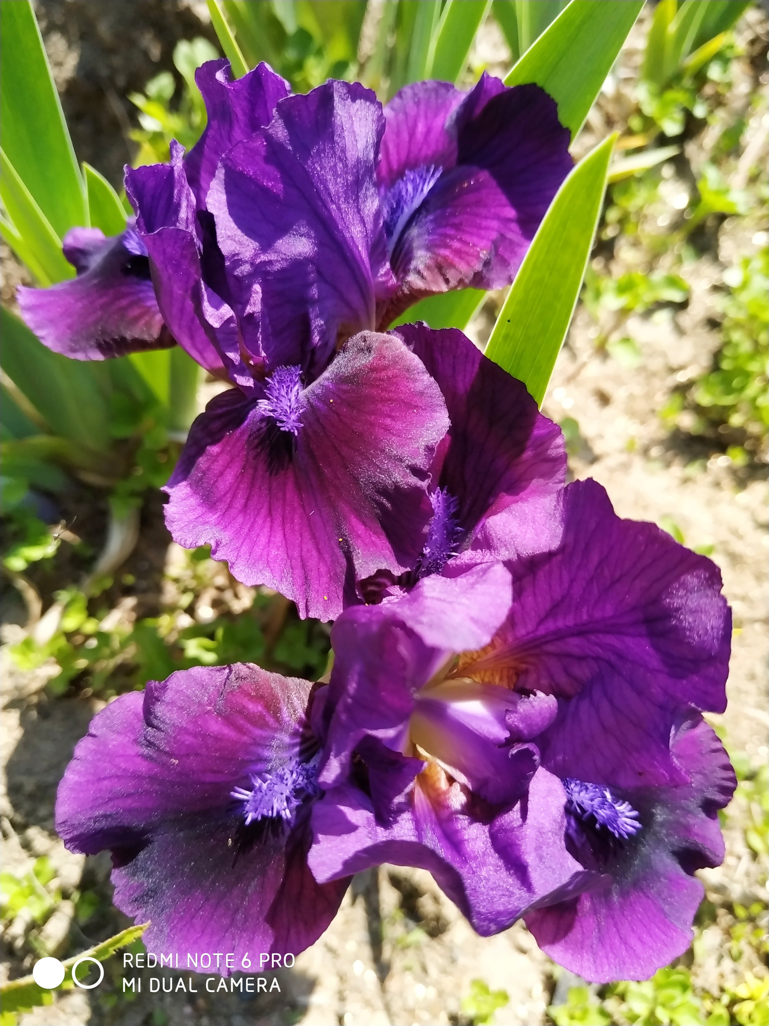 Первый слайд