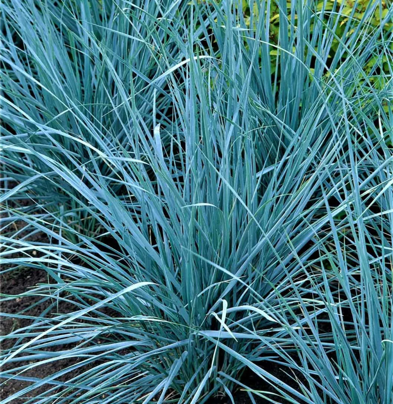 Первый слайд