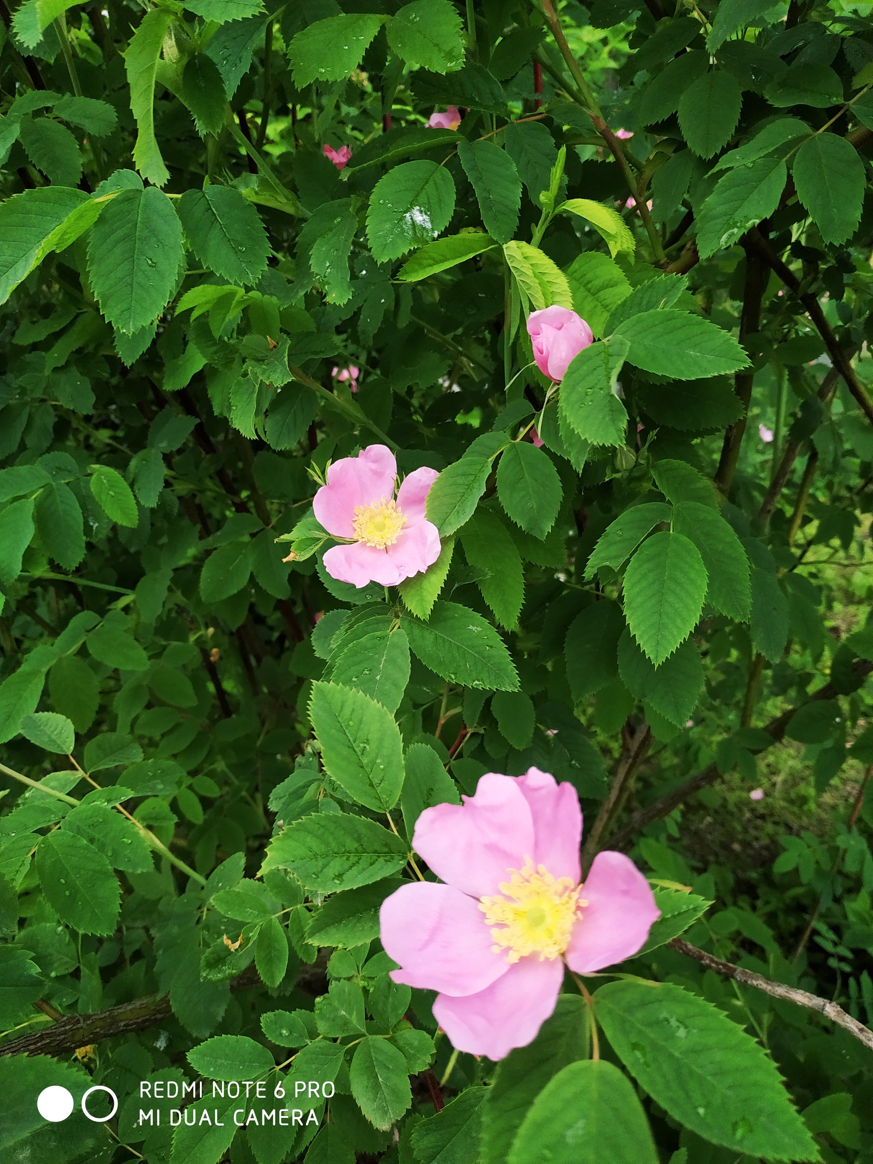 Первый слайд