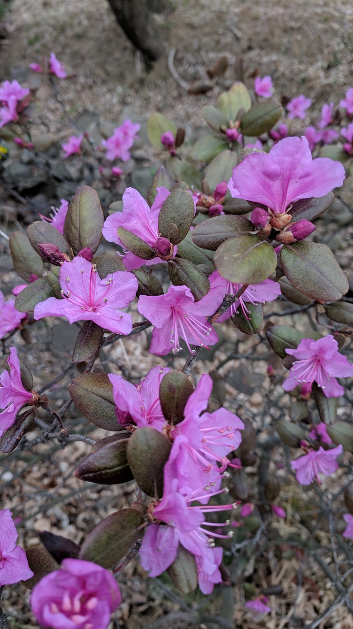 Первый слайд