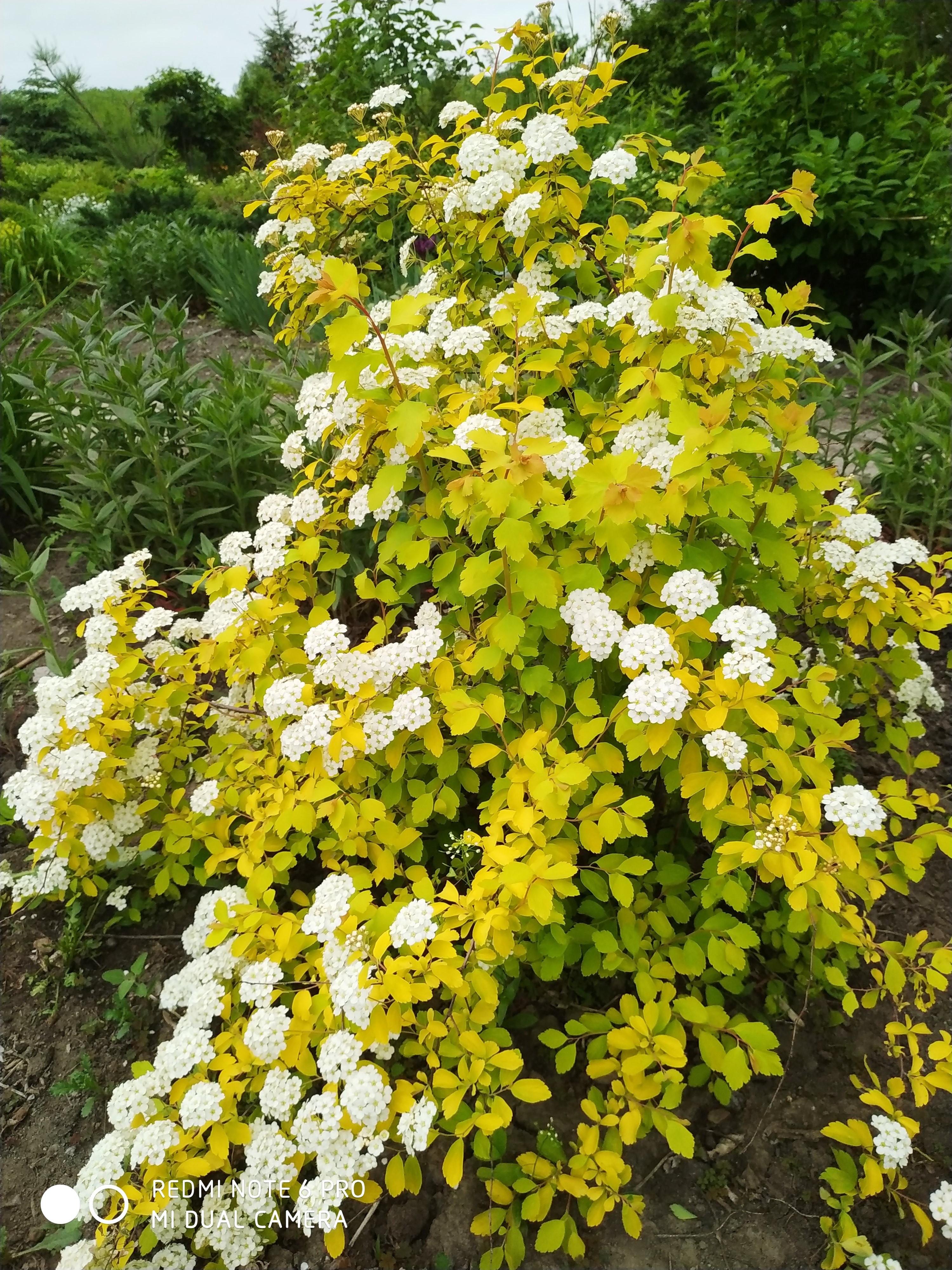 Первый слайд