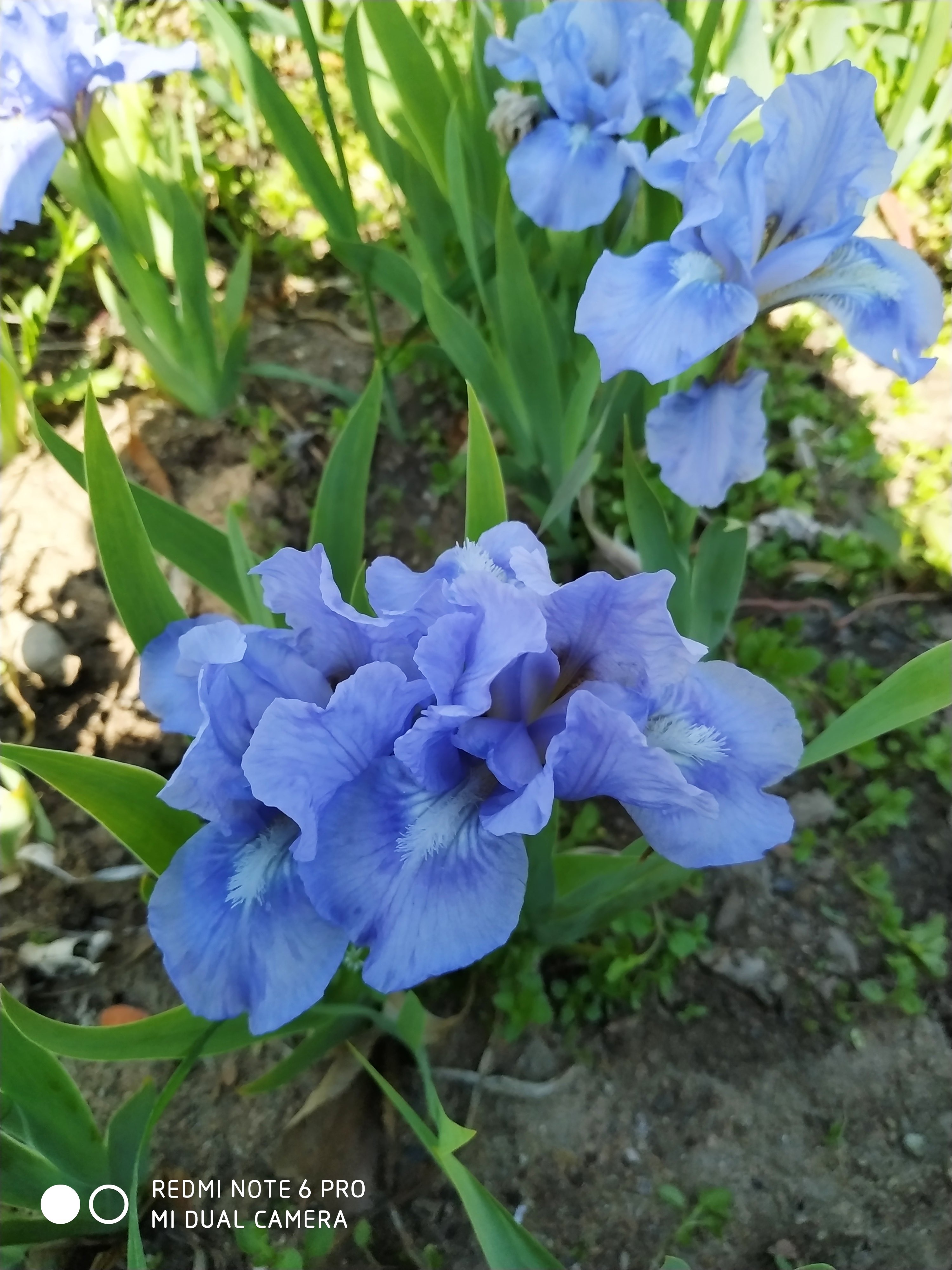 Первый слайд