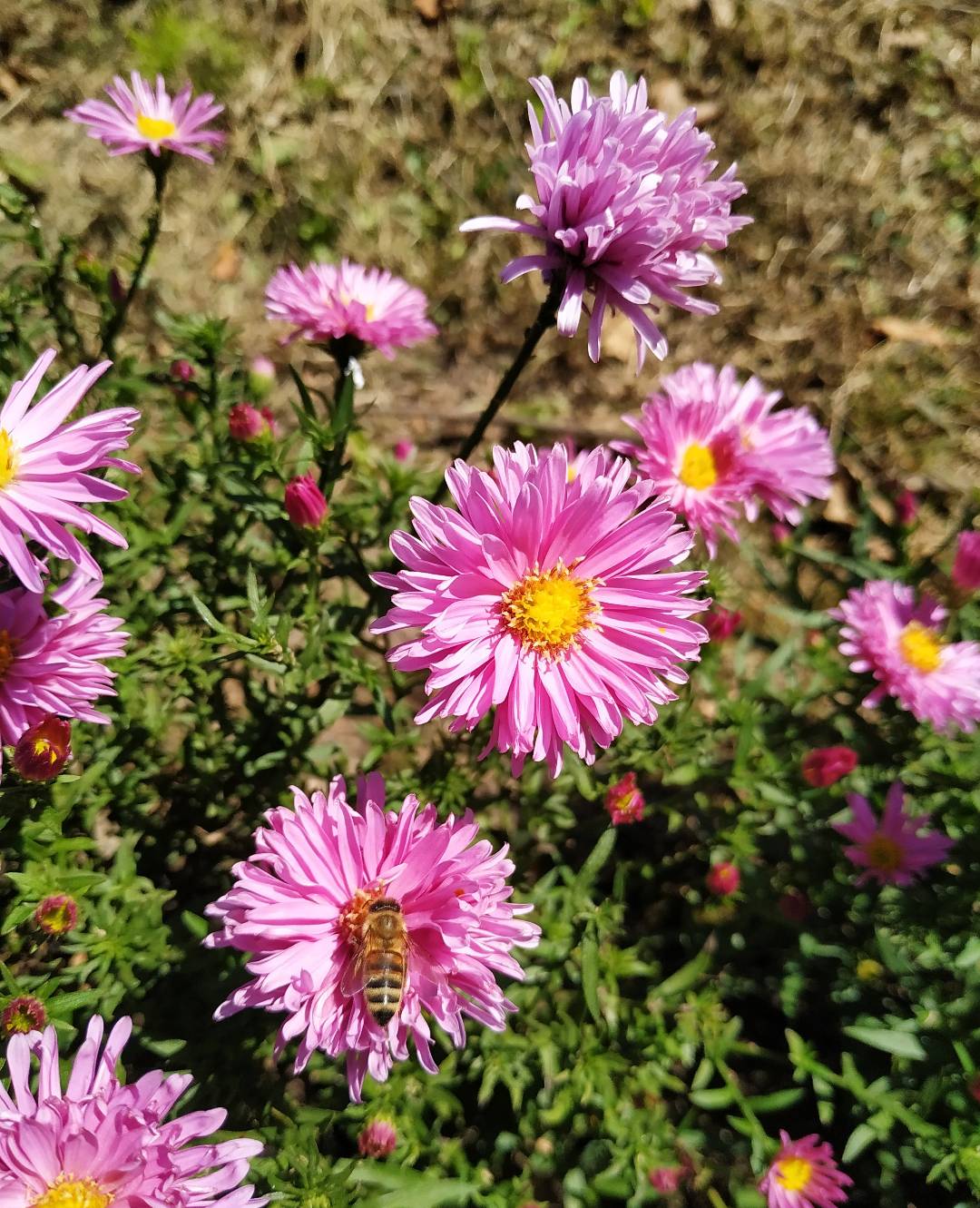 Первый слайд