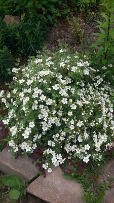 Первый слайд