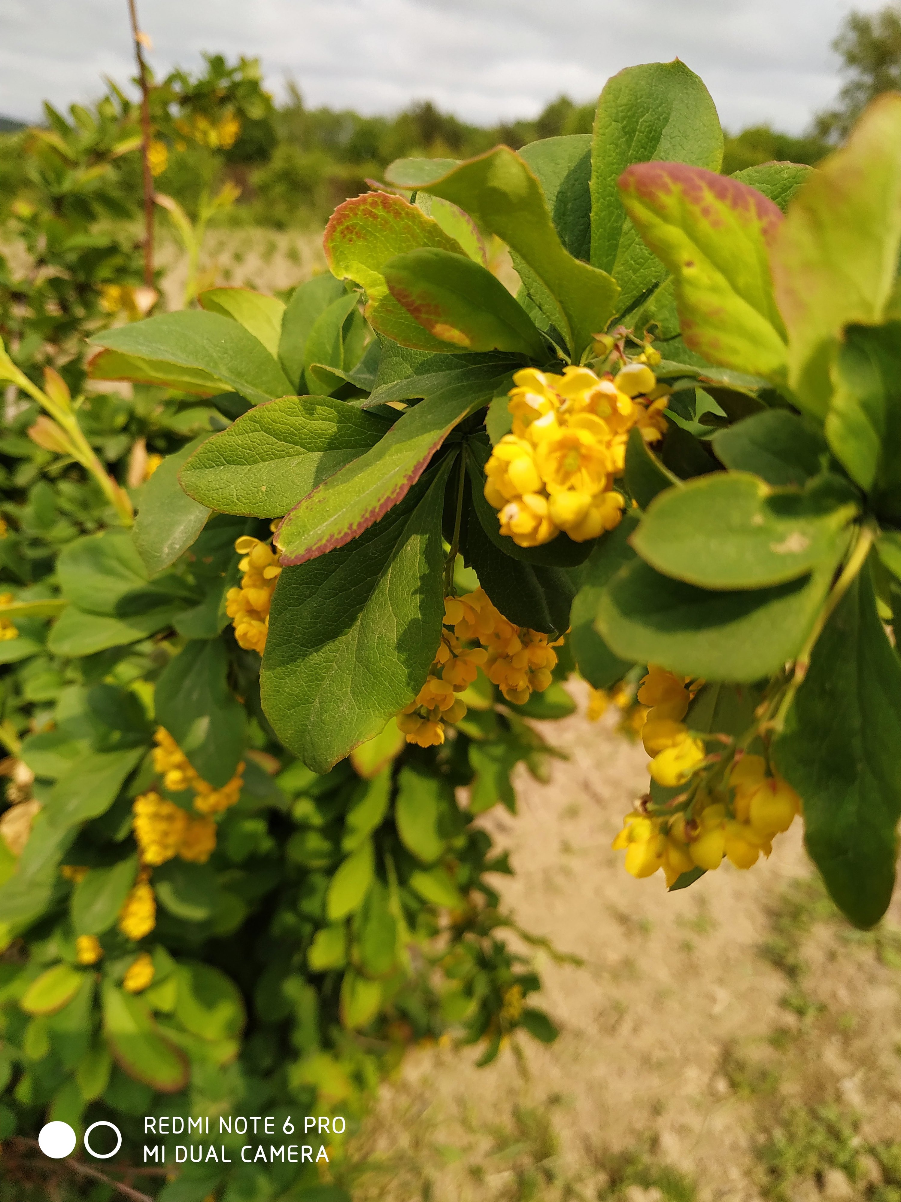 Первый слайд