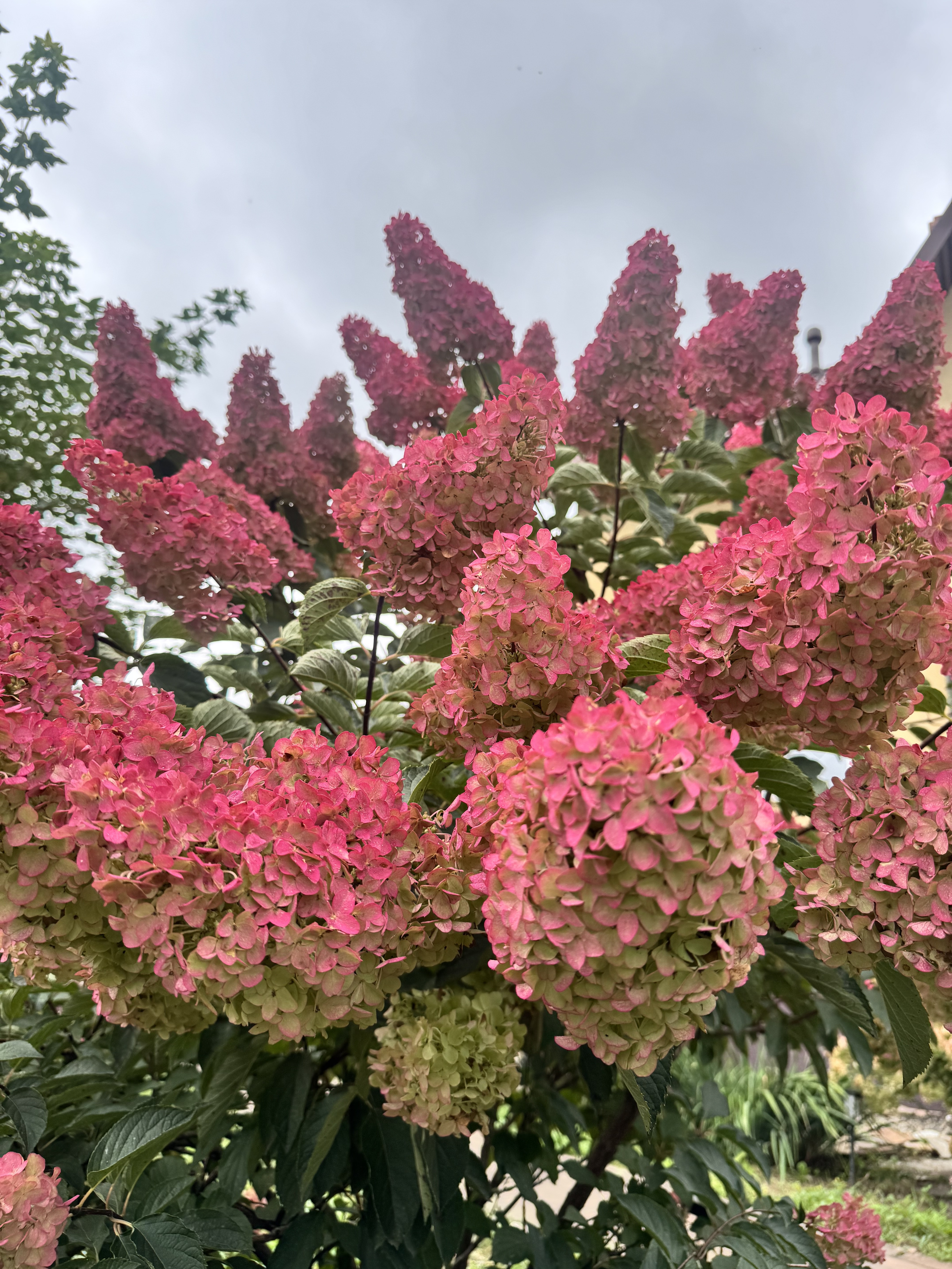 Первый слайд