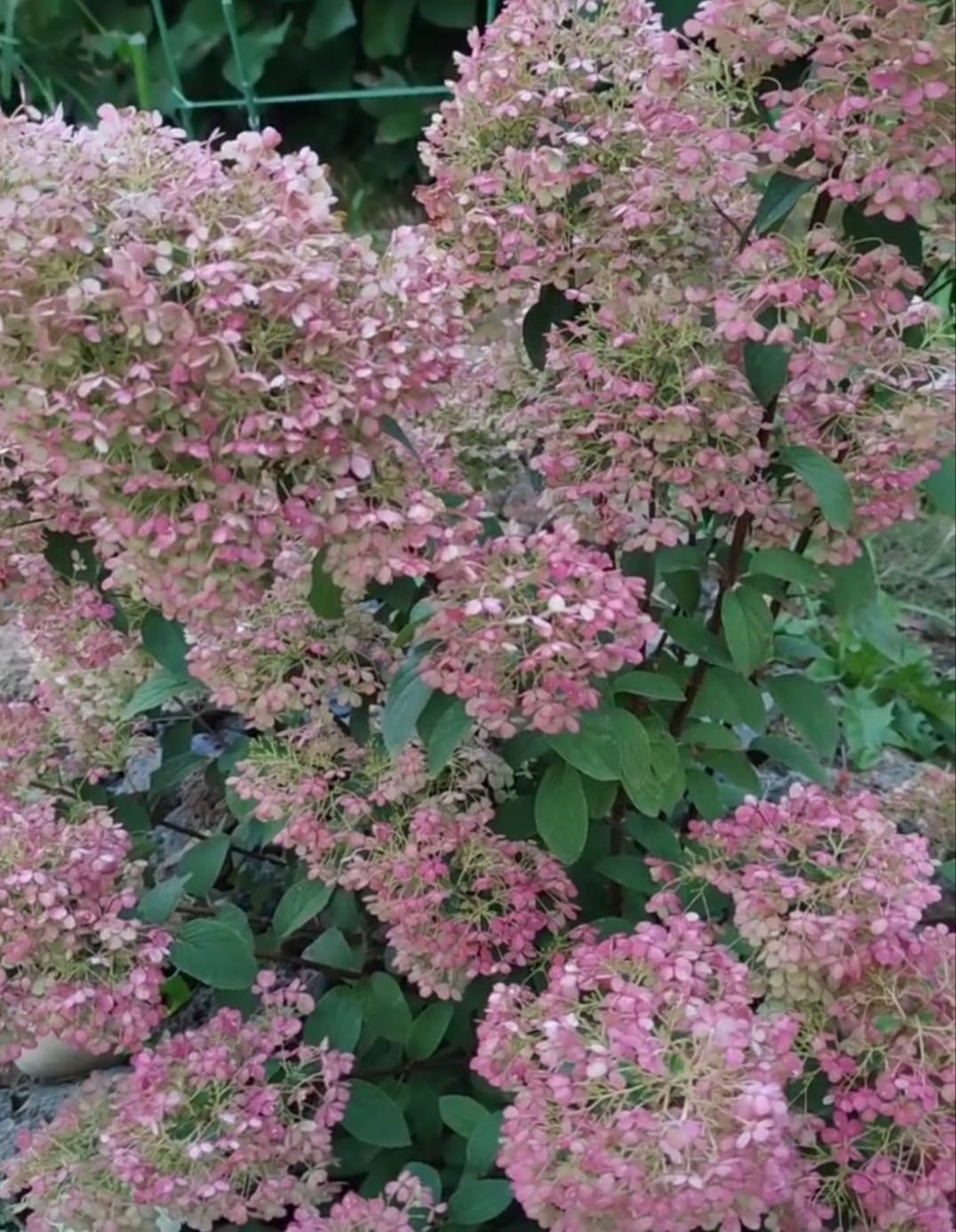 Первый слайд