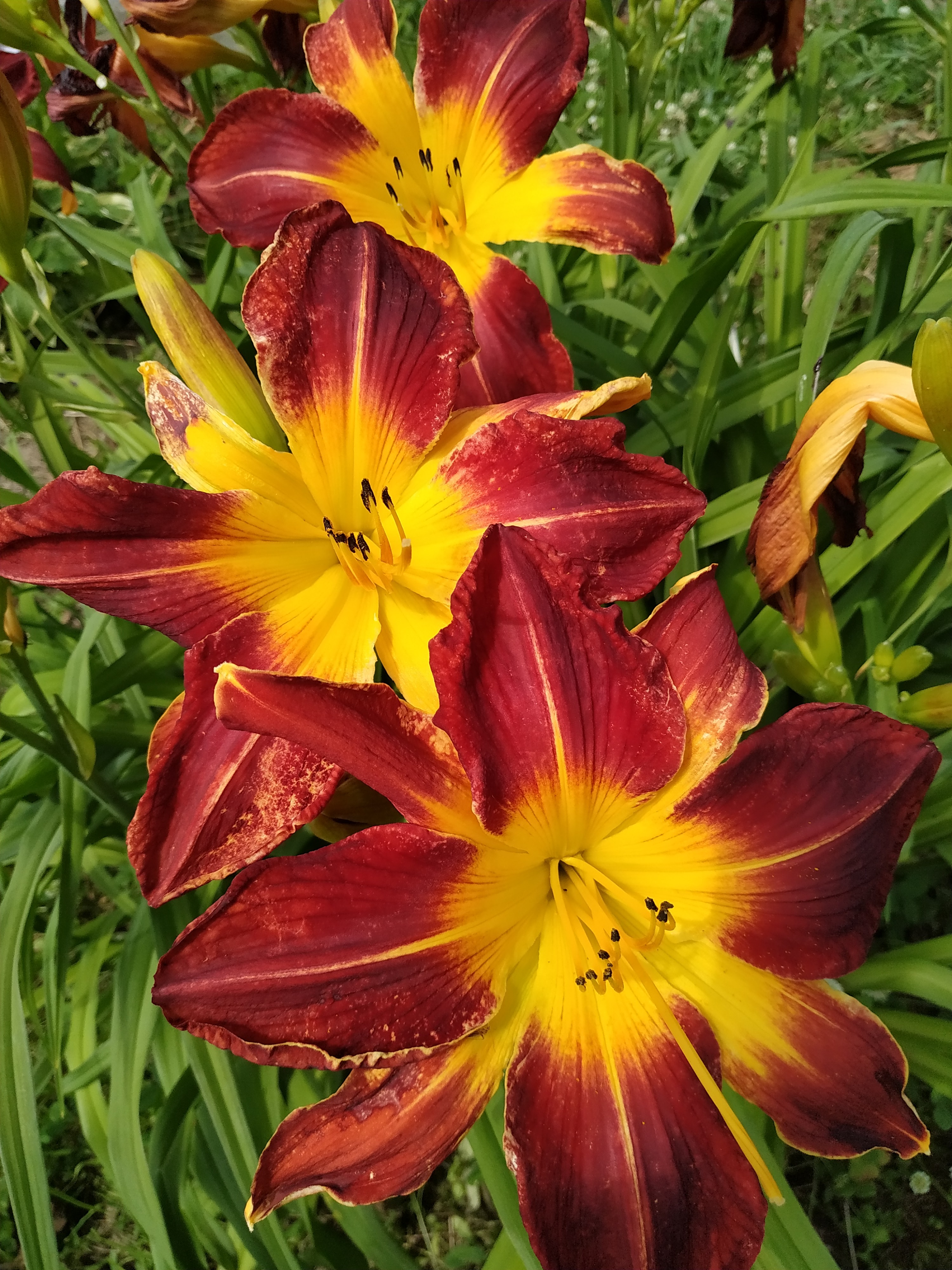 Первый слайд