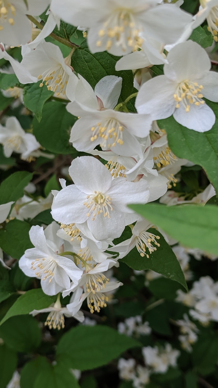 Первый слайд