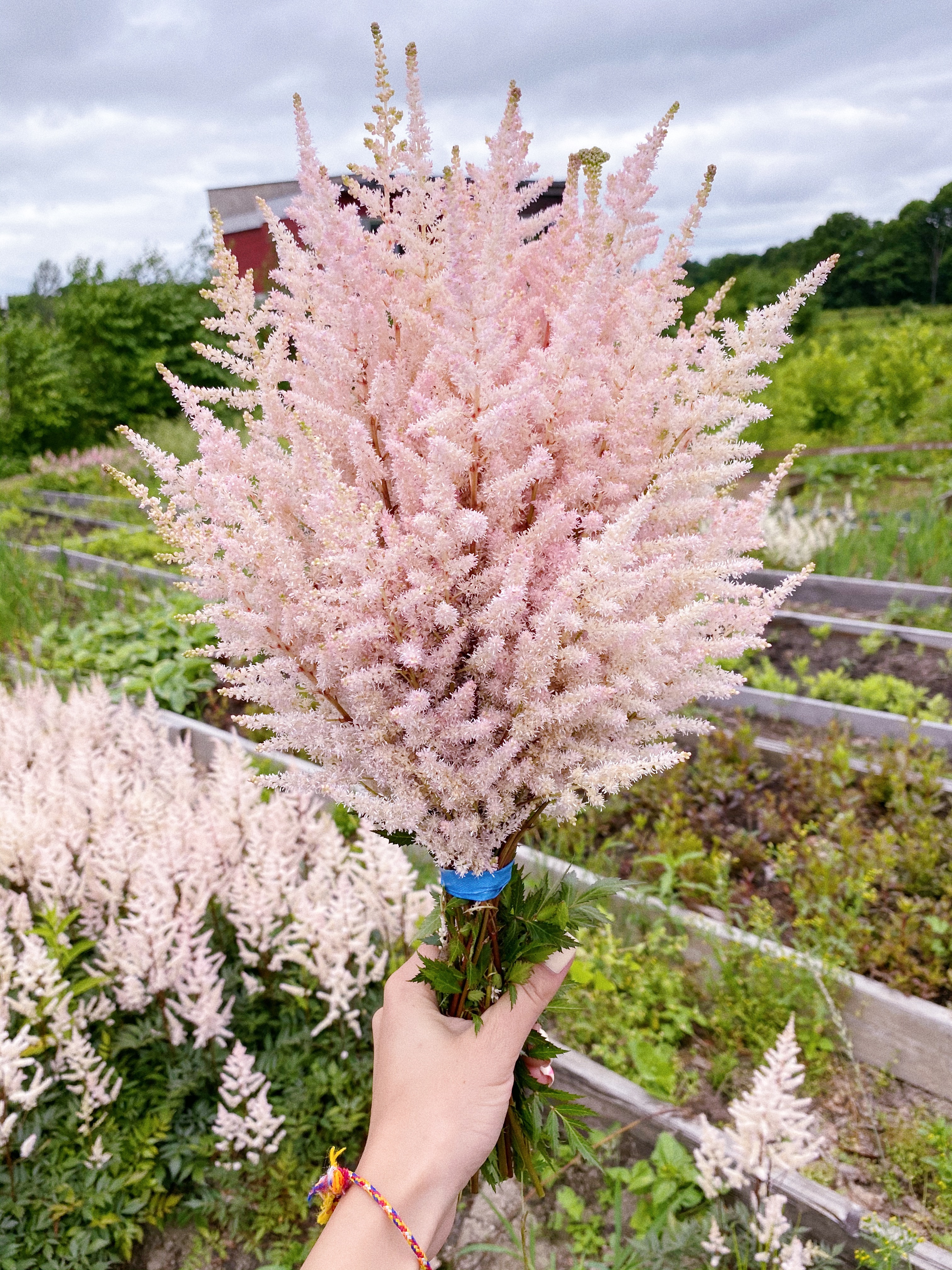 Первый слайд