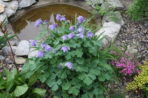 Первый слайд