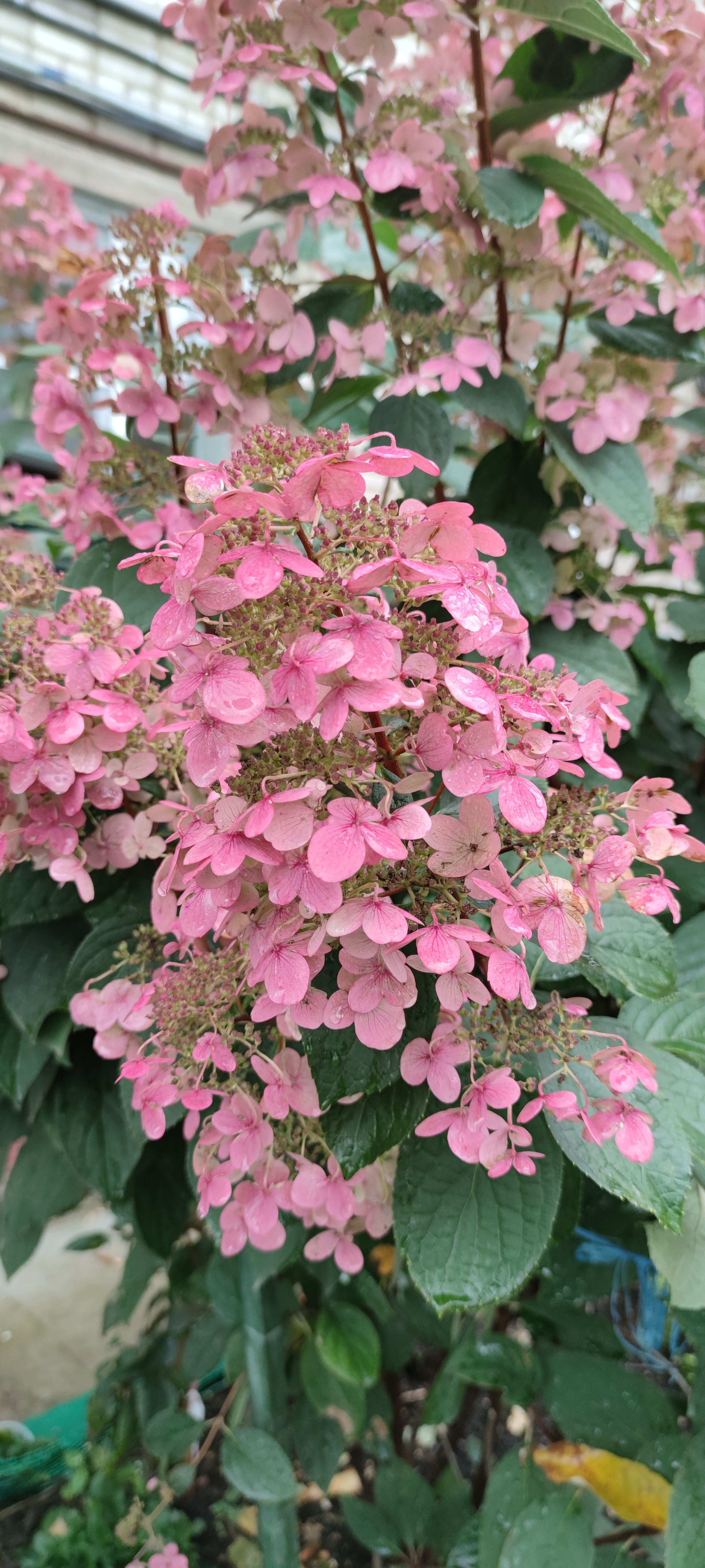 Первый слайд