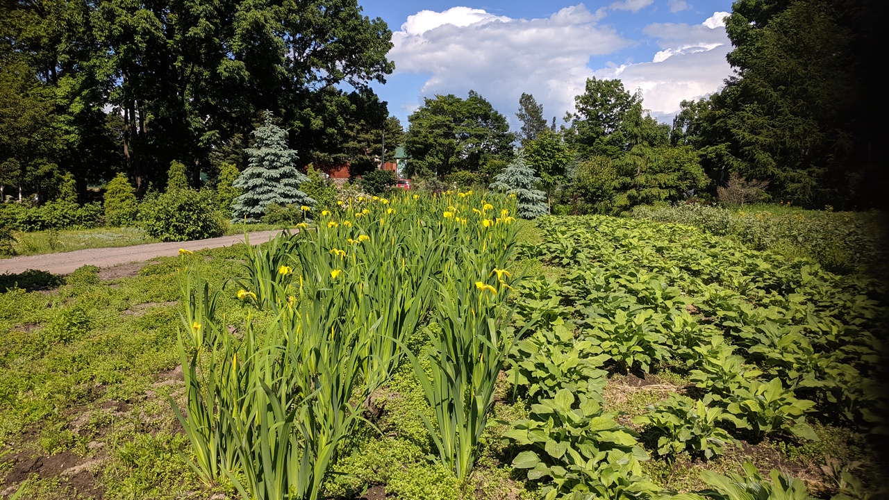 Первый слайд