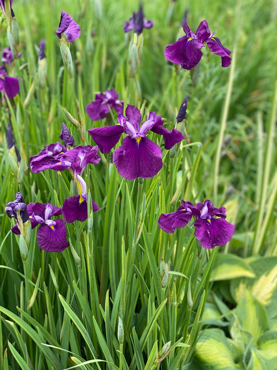 Первый слайд