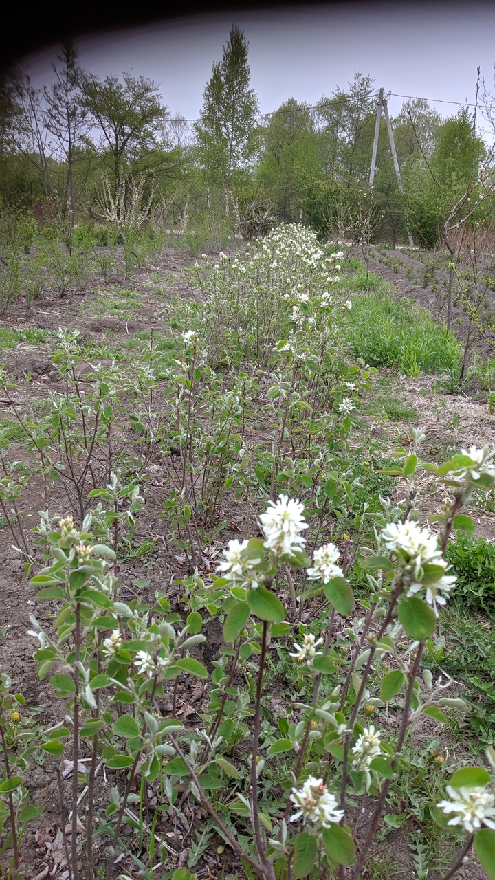 Первый слайд