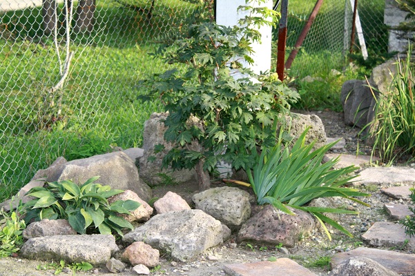 Первый слайд