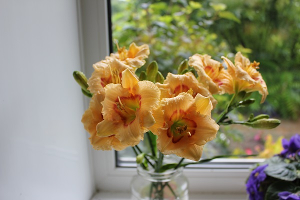 Первый слайд