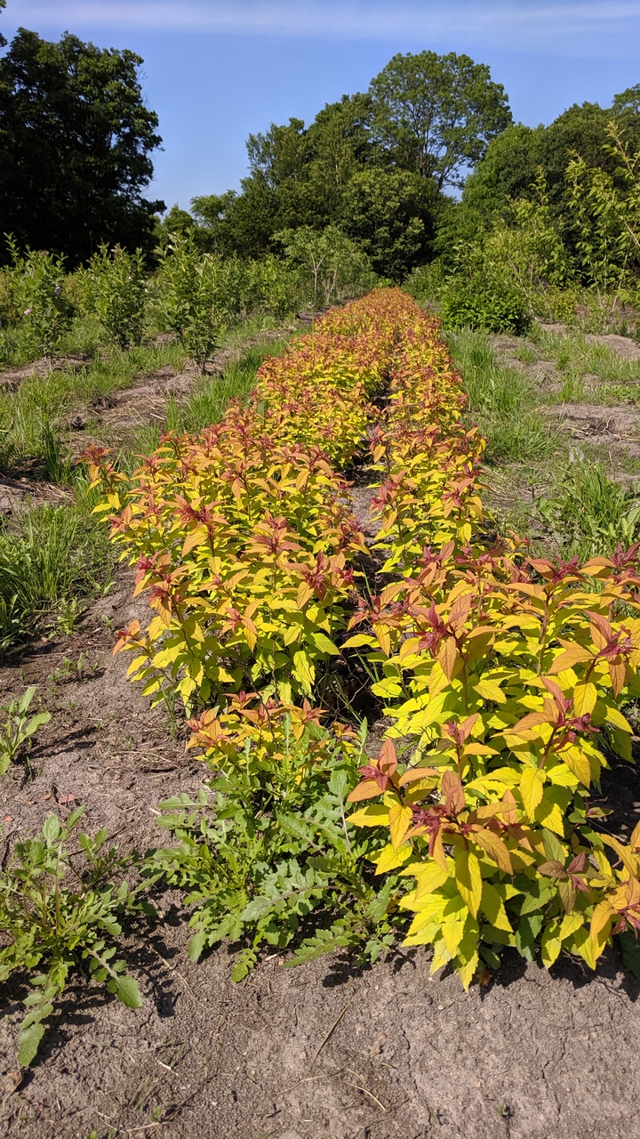 Первый слайд