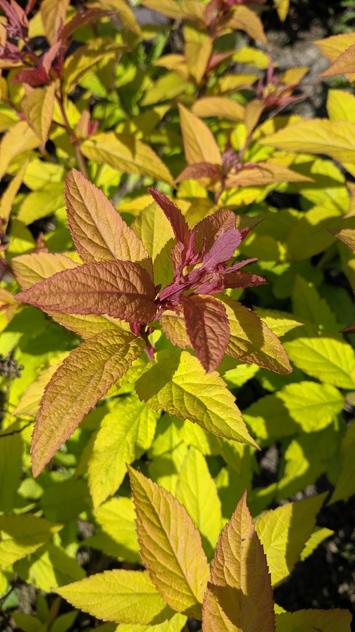 Первый слайд