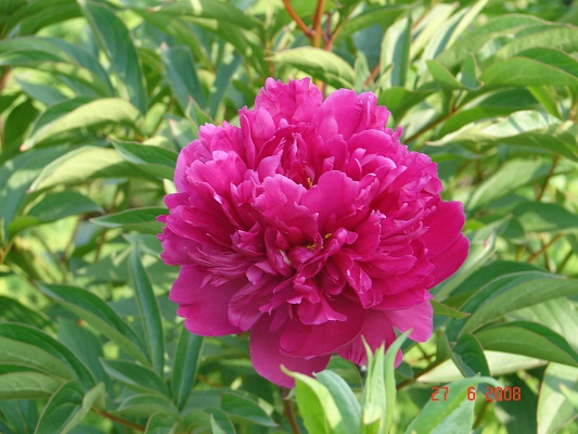 Первый слайд