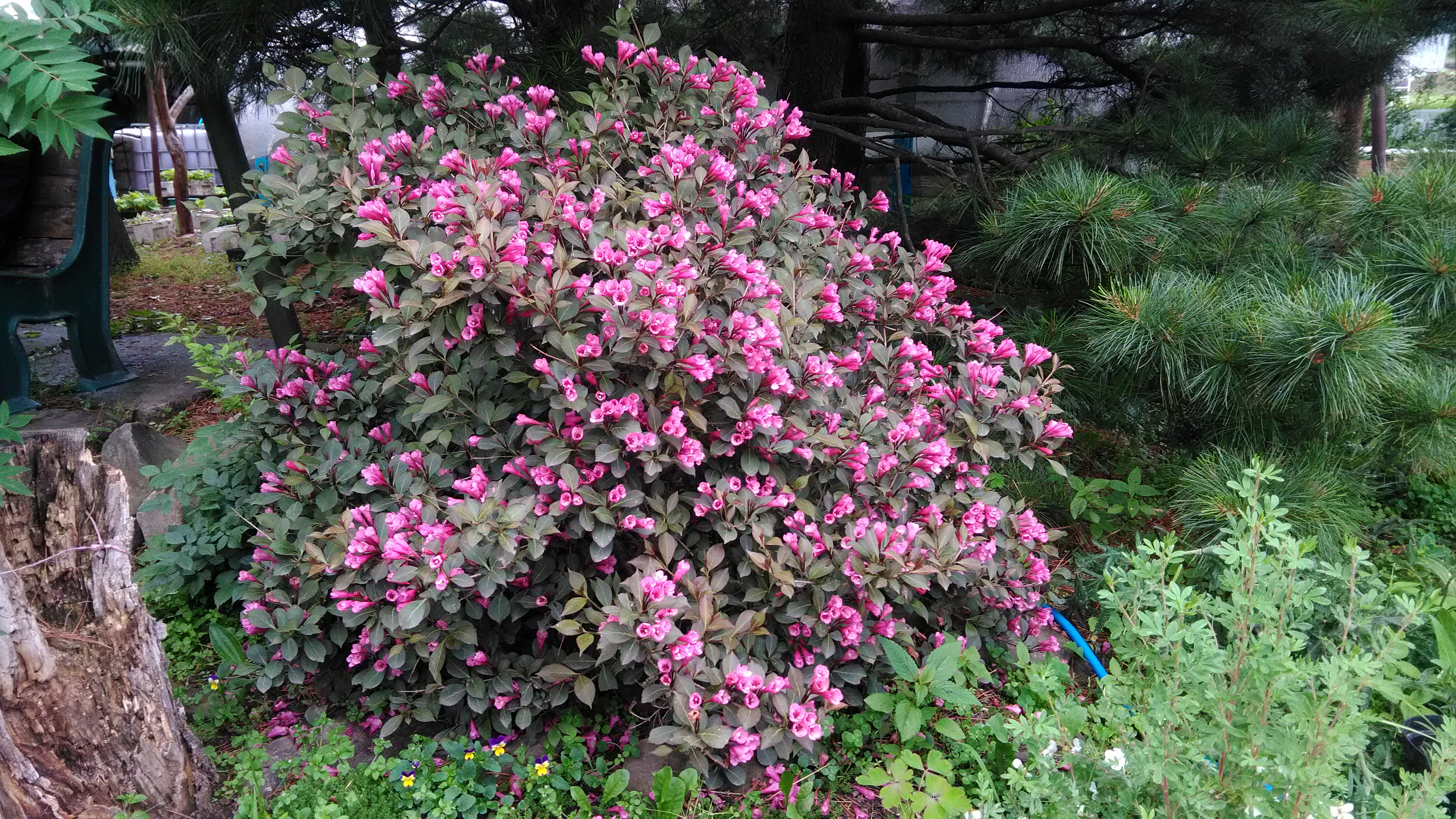 Первый слайд