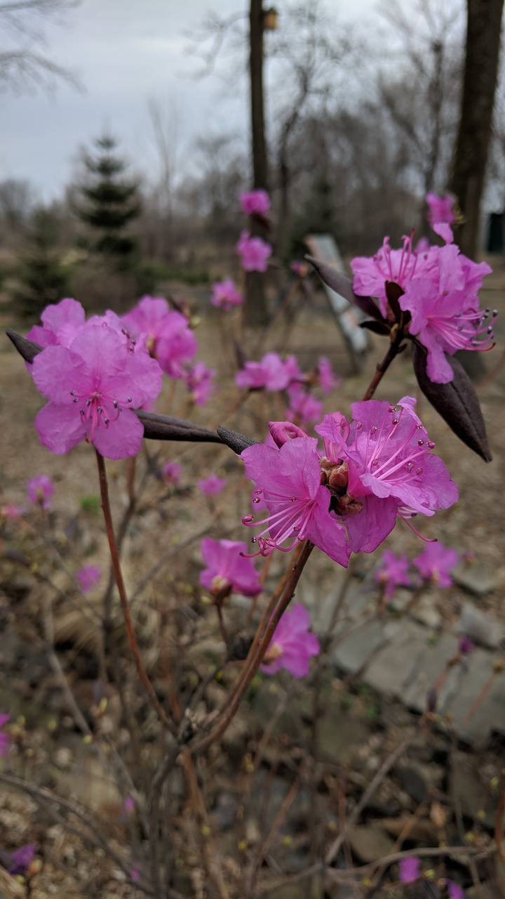 Первый слайд