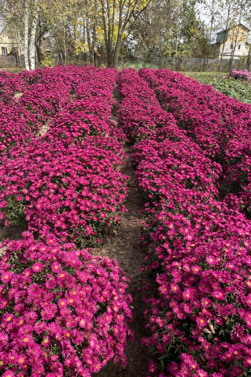 Первый слайд