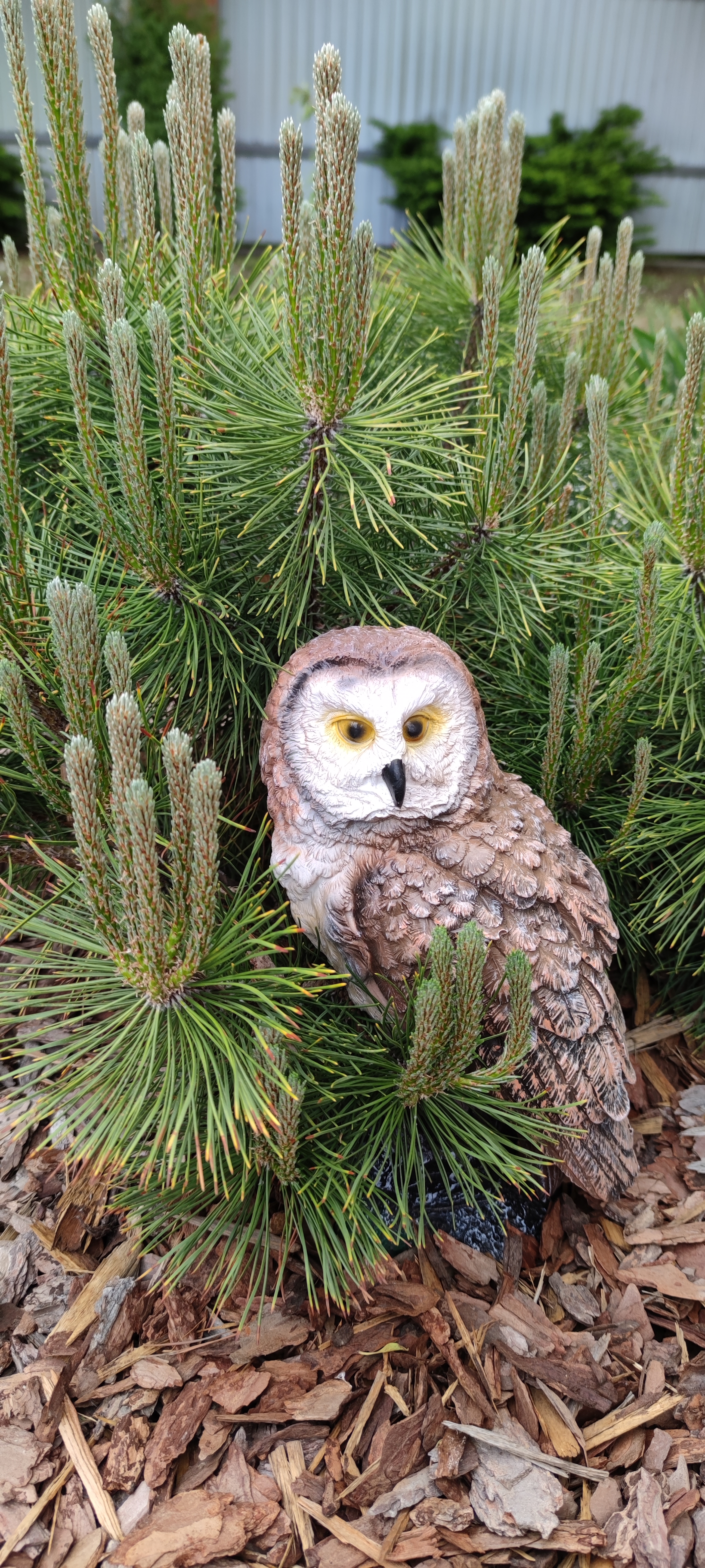 Первый слайд