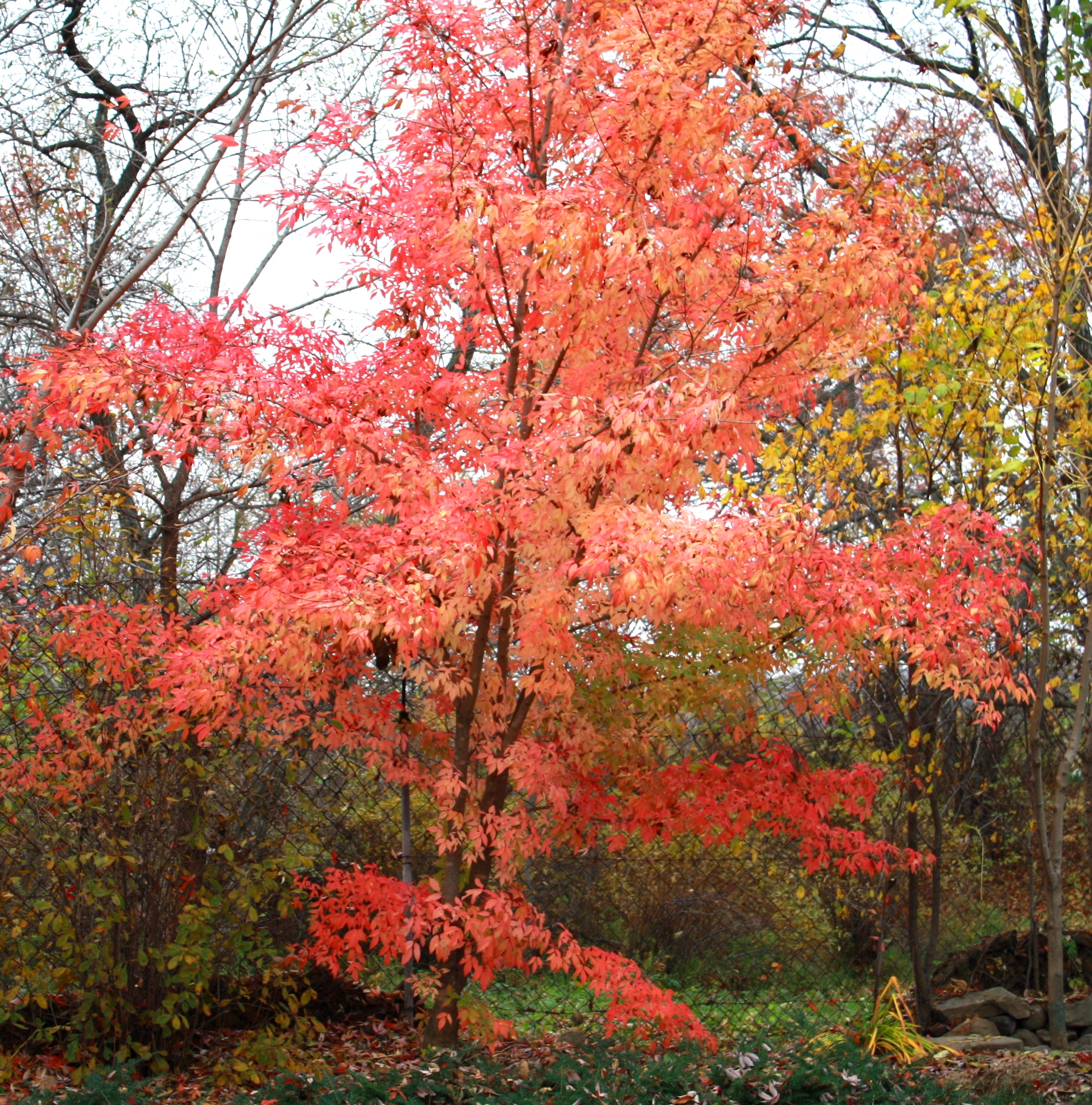 Первый слайд
