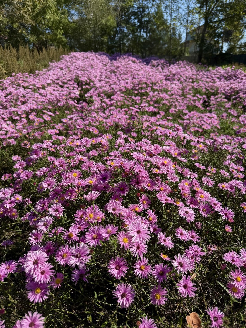 Первый слайд